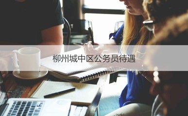 柳州城中區(qū)公務(wù)員待遇與平均工資水平解析及機(jī)電產(chǎn)品批發(fā)行業(yè)概況